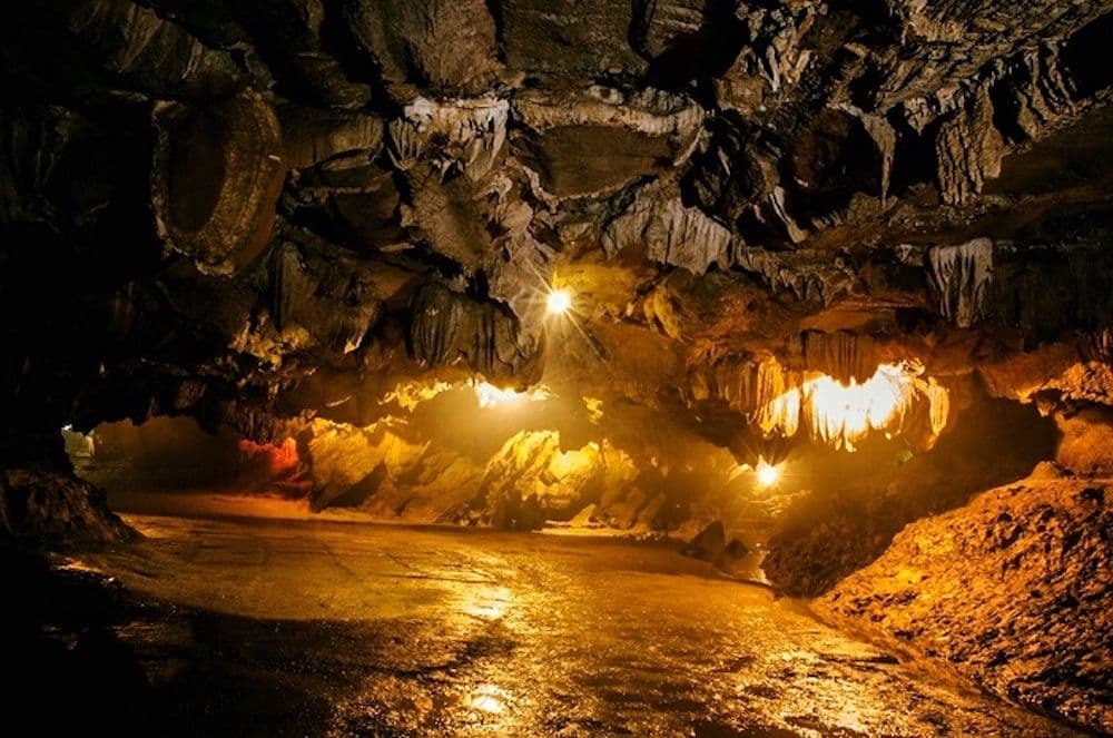 AGRICULTURAL TOUR - GALAXY CAVE