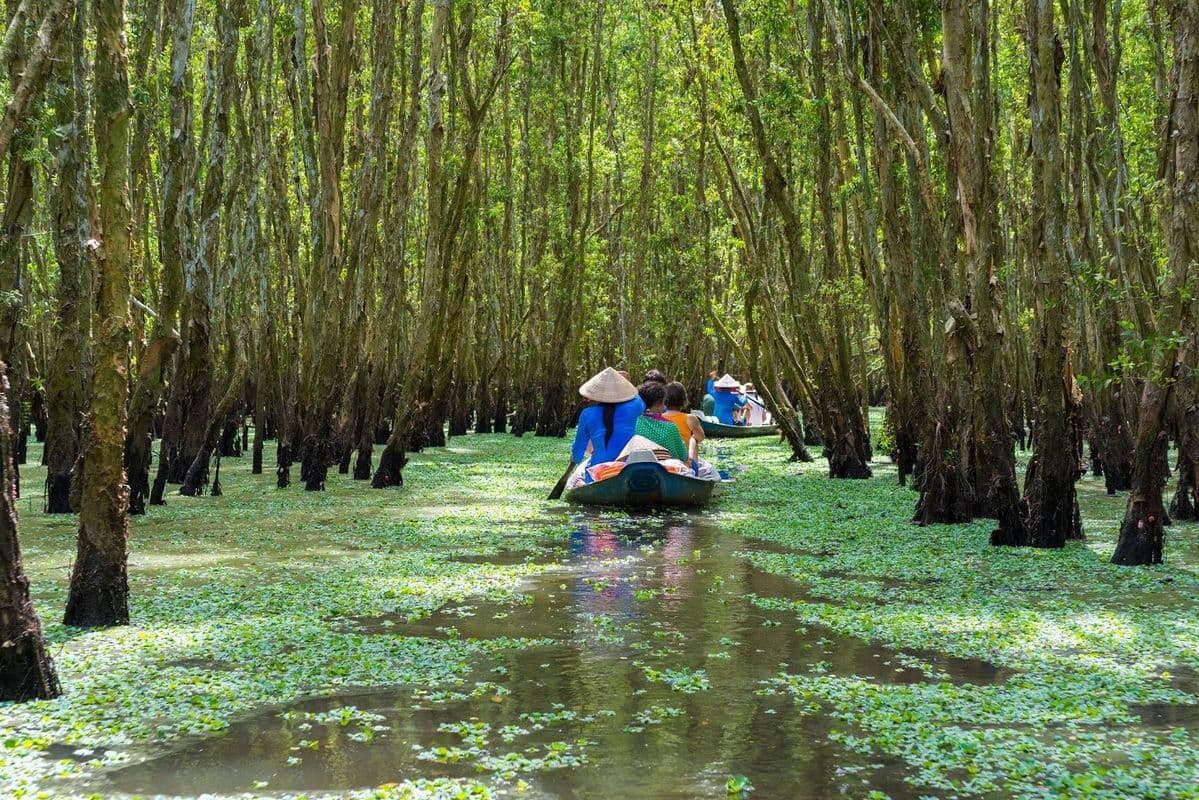 DISCOVER DONG THAP MUOI ECOLOGICAL RESERVE