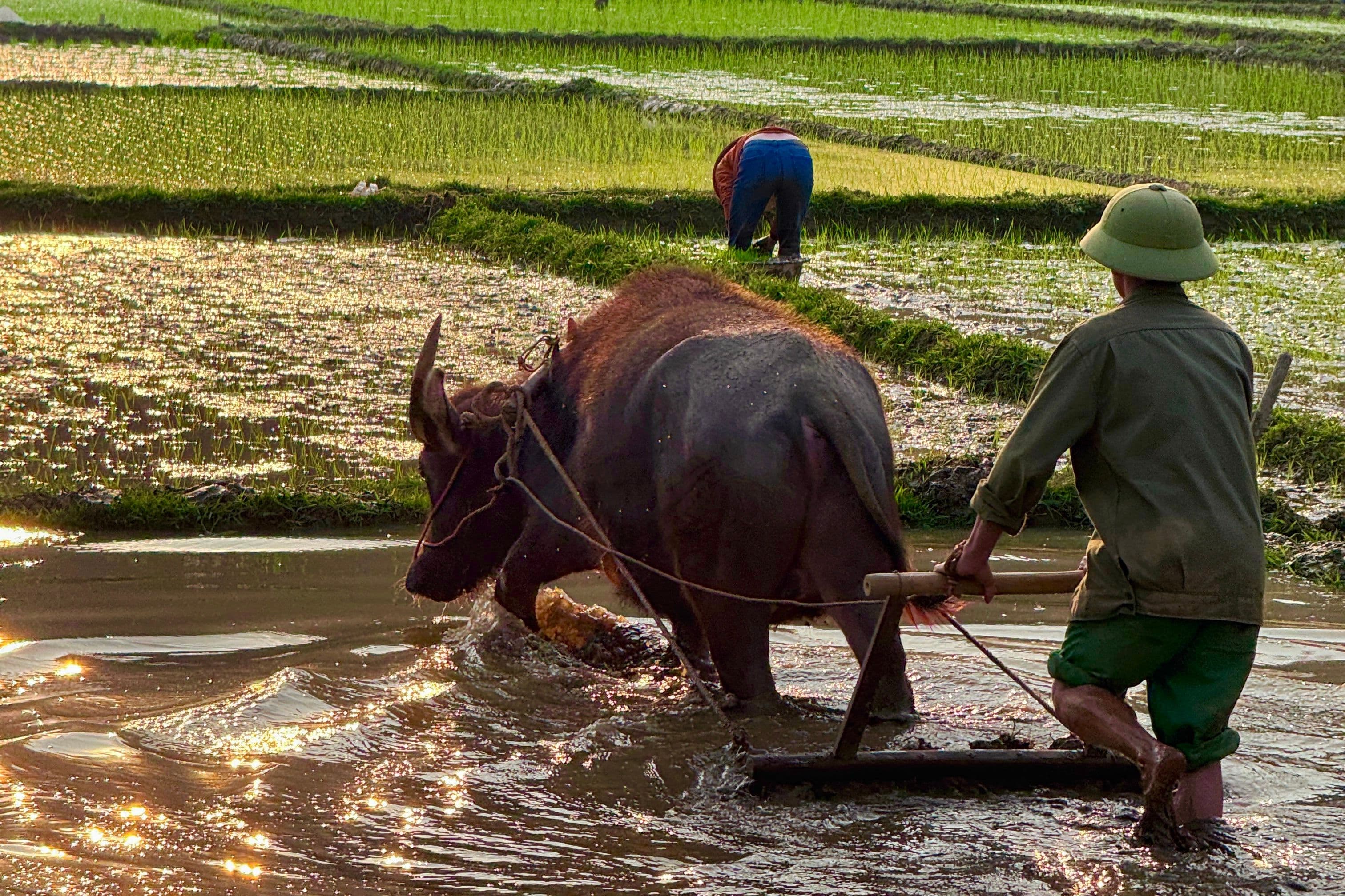 DAY 2: HANOI – MAI CHAU (Meal: B/L/D)
